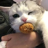 忧郁纯情总裁