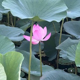 健康幸福