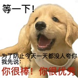 很棒很优秀