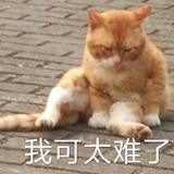 定式黑白