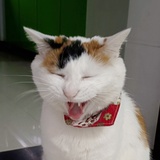 なつで