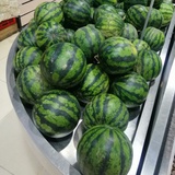 孟夷光