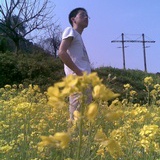 sunny