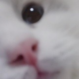 pukap