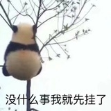 我该怎么办