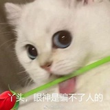 冷