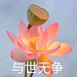 流年似水
