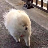 已注销