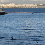 烟雨王城