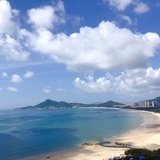 本城城城