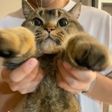 一晚儿