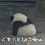 叶乔