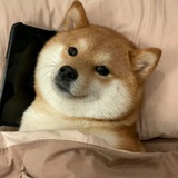 疯癫召唤师