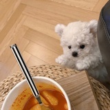 才不爱吃巧克力