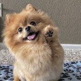 匠影寒