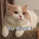 哇哦