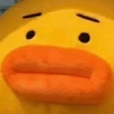 开摆