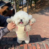 上岸