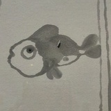 Se稳定发挥