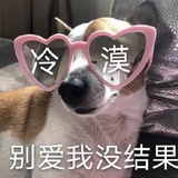 羊仔