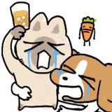 碎碎念