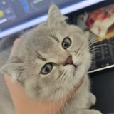 陆陆陆