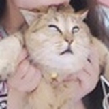 我看好你