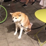 眼角三条皱纹