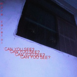 CAN YOU SEE ?