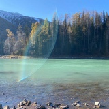 不知江月待何人