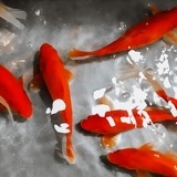 红豆粥