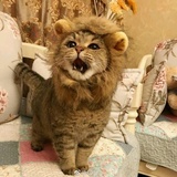 臭臭