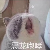 小酒窝