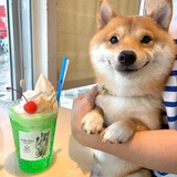 又要卸载重装