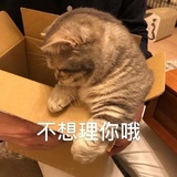 我太暴躁了