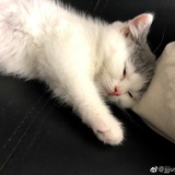 李林孖