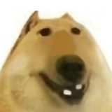 stu_