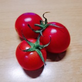 不是番茄