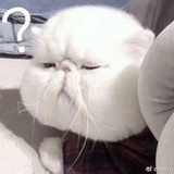 瓜子