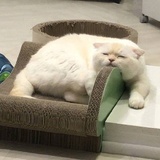 很酷不聊天