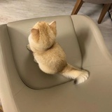 卟〇卟〇悠悠