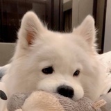 无缘无辜