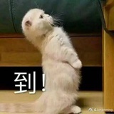 元气桃桃
