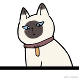 💫小不溜