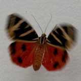 此时不做待何时