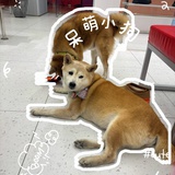诡计多端的人