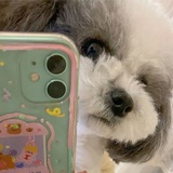 咻一二三