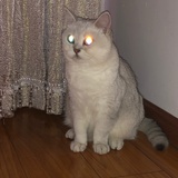 张三丰