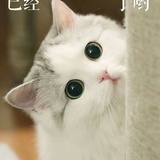 欲饮一杯无