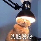 豆友196708003
